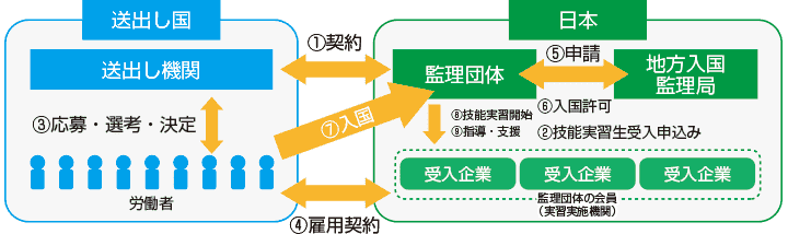 外国人技能実習制度の相関図